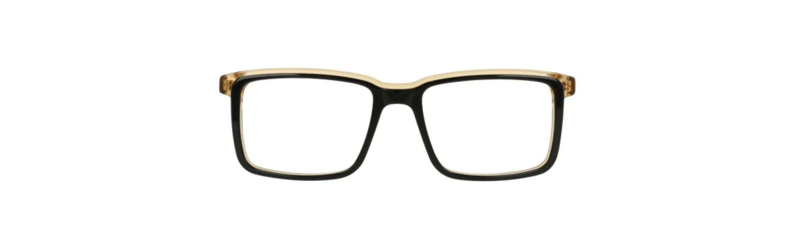 Randy Jackson RJ3096 Eyeglasses - view 4